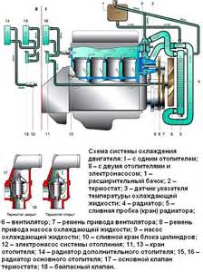 Радиатор системы охлаждения, кожух вентилятора (для автомобилей выпуска с 1998 года по октябрь 2002года): I- для двигателя ЗМЗ-406, II- для двигателей ЗМЗ-402 для ЗМЗ-402
