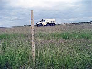 Запчасти для СЗТ-3,6А
