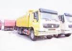 Запчасти для Sinotruk 8x4 Tipper (336)