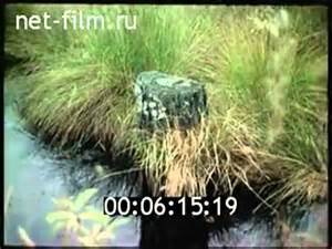 Механизм газораспределения 16-04-08СП в Беларуси