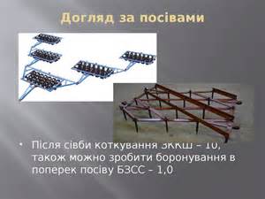 Купить Цистерна