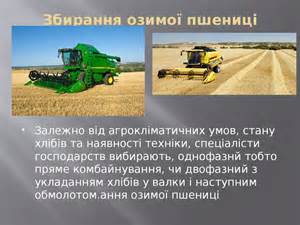 Клапан предохранительный вакуумный РЖТ84.00.000 для МЖТ-11