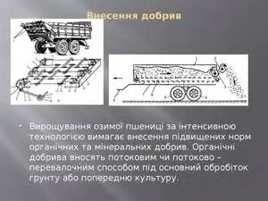 Масленка УВА12.100 для МЖТ-11