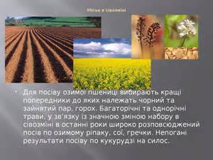 Купить Масленка УВА12.100